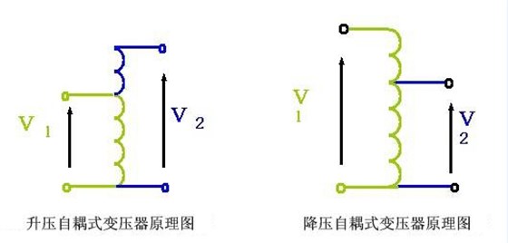 图片1 图片1